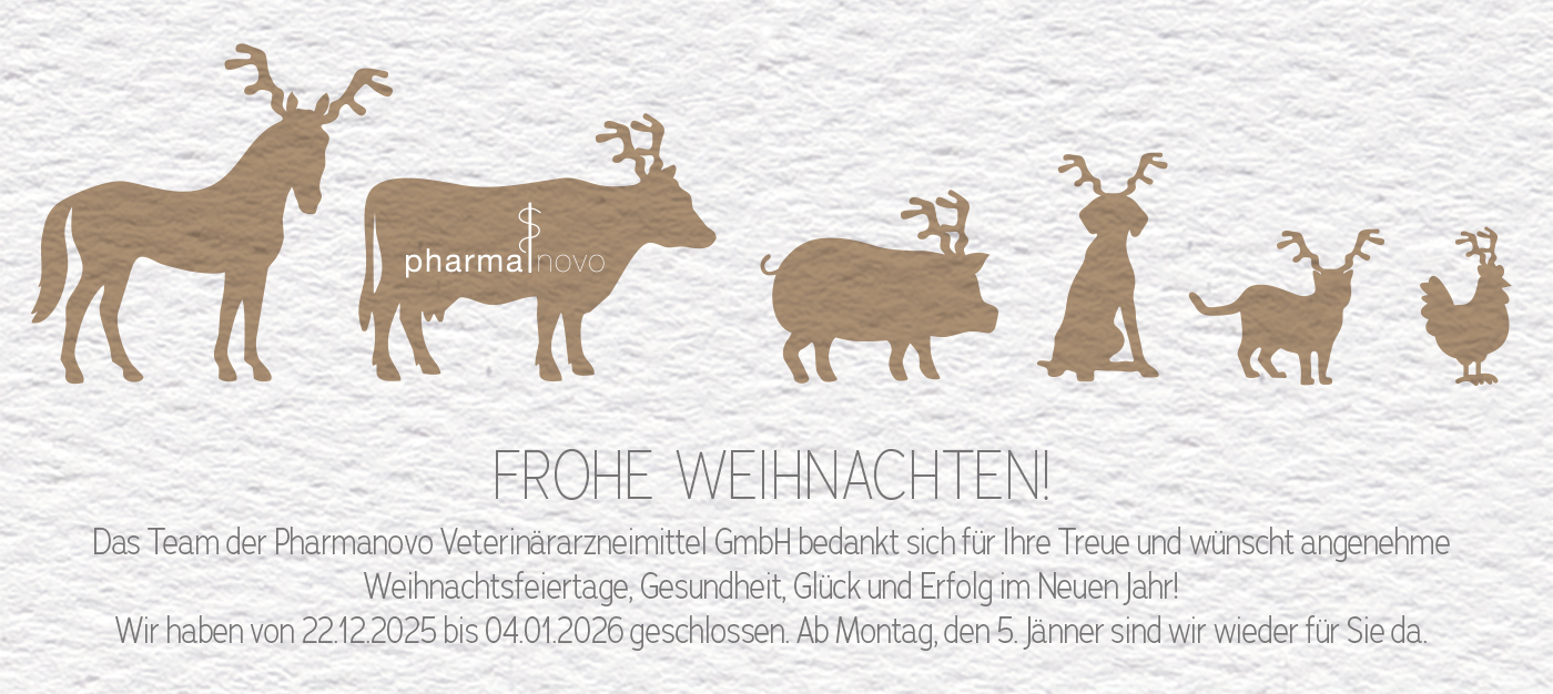 Information über Betriebsurlaub zu Weihnachten